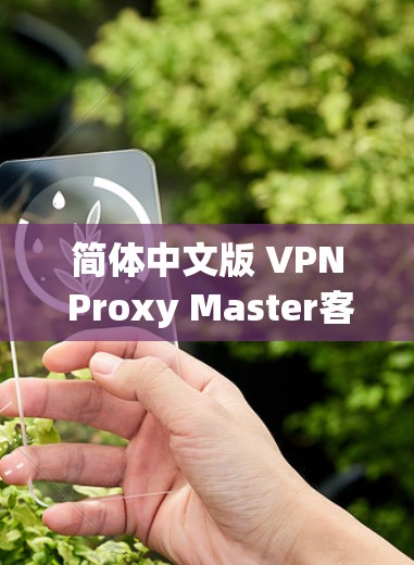 简体中文版 VPN Proxy Master客户端，高效、便捷、安全的网络VPN工具