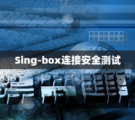 Sing-box连接安全测试