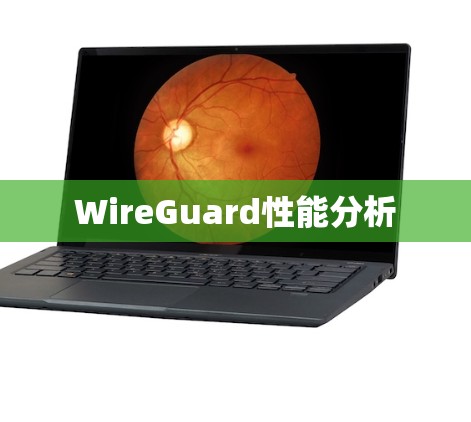 WireGuard性能分析