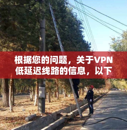 根据您的问题，关于VPN低延迟线路的信息，以下是详细的解释和建议