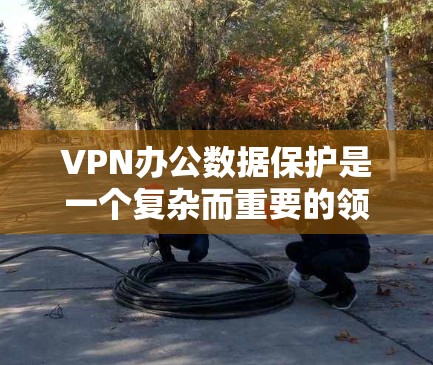VPN办公数据保护是一个复杂而重要的领域，涉及多个层面的措施来确保数据的安全性。以下是对 VPN 网站办公数据保护的详细总结