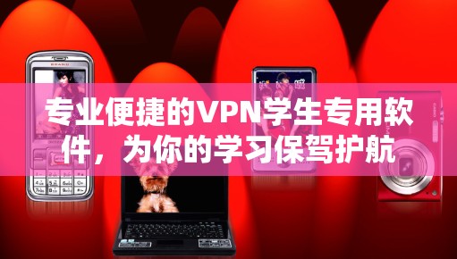 专业便捷的VPN学生专用软件，为你的学习保驾护航