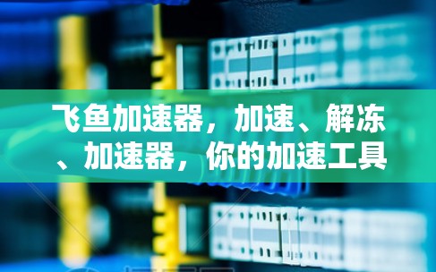飞鱼加速器，加速、解冻、加速器，你的加速工具