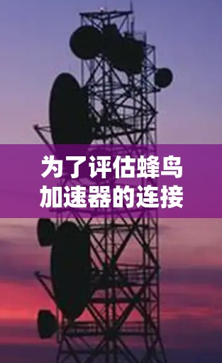 为了评估蜂鸟加速器的连接速度，建议按照以下步骤进行