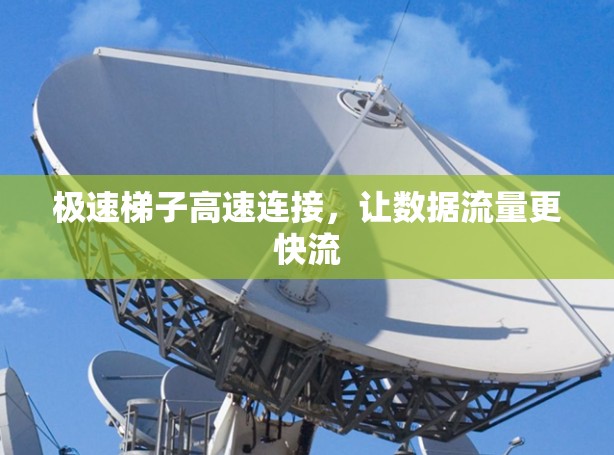 极速梯子高速连接，让数据流量更快流