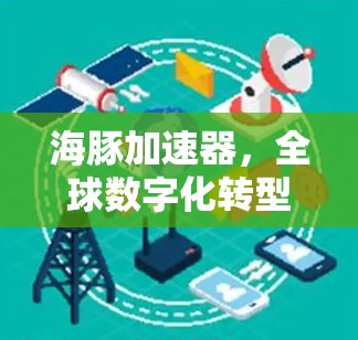 海豚加速器，全球数字化转型的创新力量