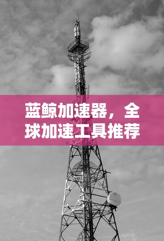 蓝鲸加速器,全球加速工具推荐 蓝鲸加速器,全球加速工具推荐
